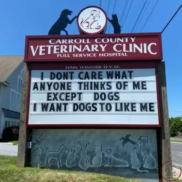 45 Signs To Make Your Pet's Vet Visit Enjoyable For Both Of You