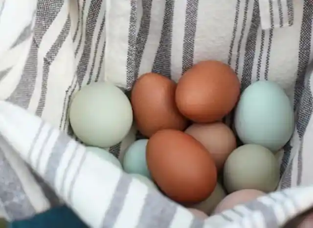 Why Don’t They Sell Blue Eggs in Supermarkets?