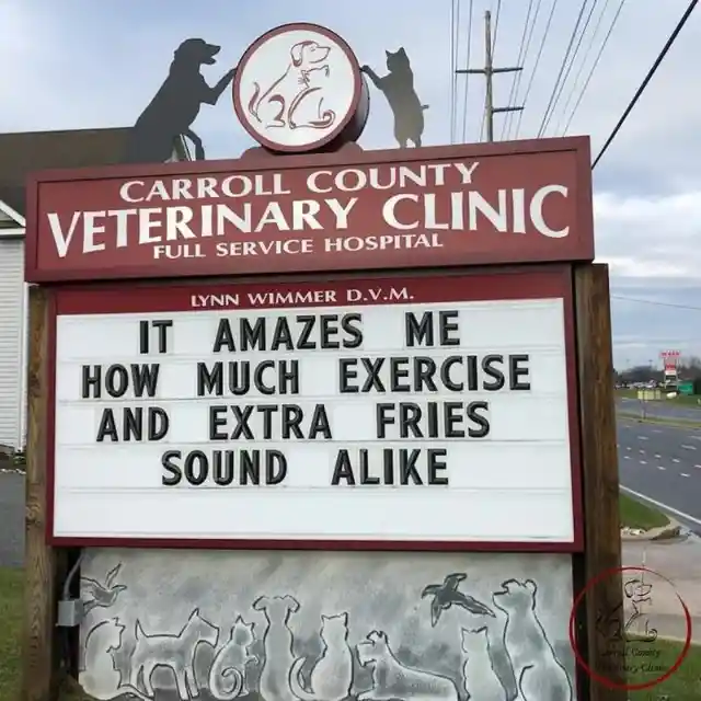 45 Signs To Make Your Pet's Vet Visit Enjoyable For Both Of You