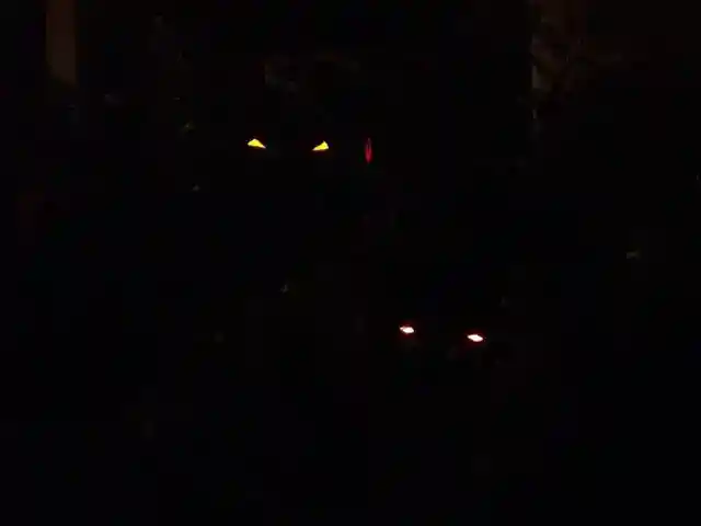 Eyes Within The Darkness