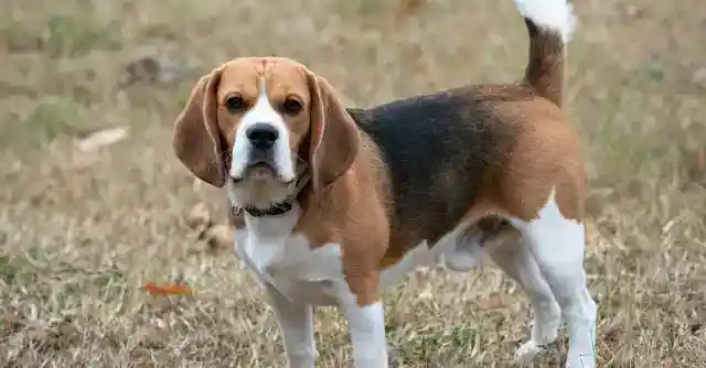 Her Eating Habits Changed