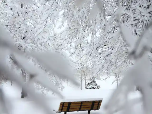 Through The Neighborhood