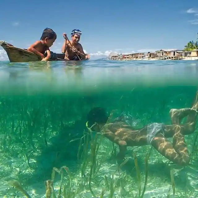 Breathtaking Half Submerged Photos