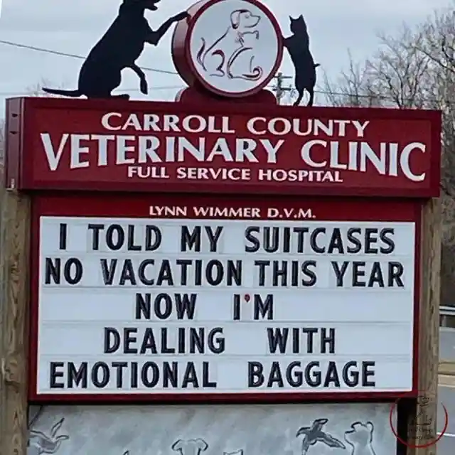 45 Signs To Make Your Pet's Vet Visit Enjoyable For Both Of You