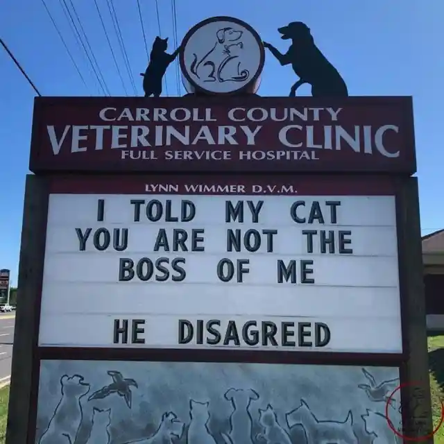 45 Signs To Make Your Pet's Vet Visit Enjoyable For Both Of You