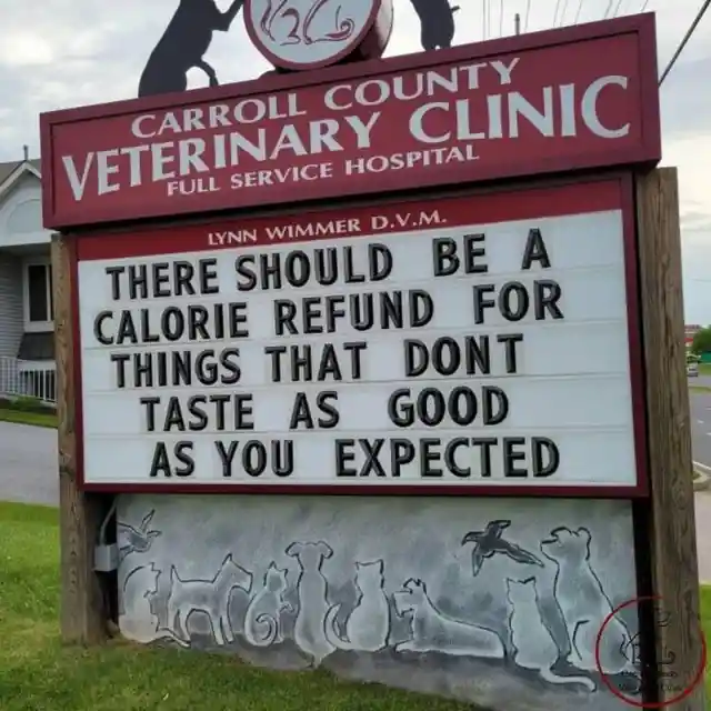 45 Signs To Make Your Pet's Vet Visit Enjoyable For Both Of You