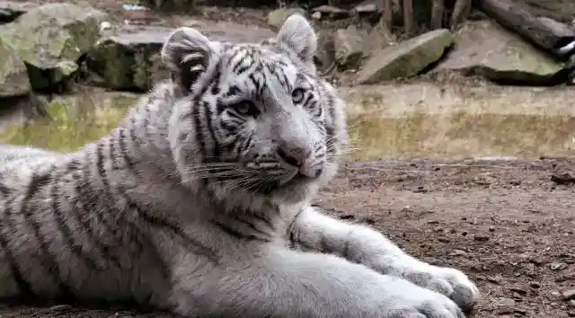 永遠に語り継がれる物語