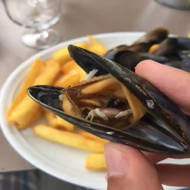 Crab in a Mussel