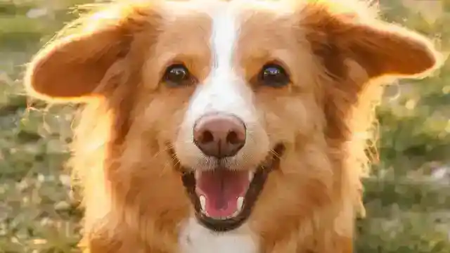 喜びで満たす家