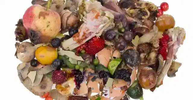 The Shocking Discovery