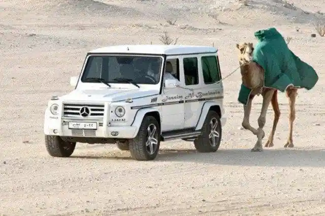 Mercedes > Camel