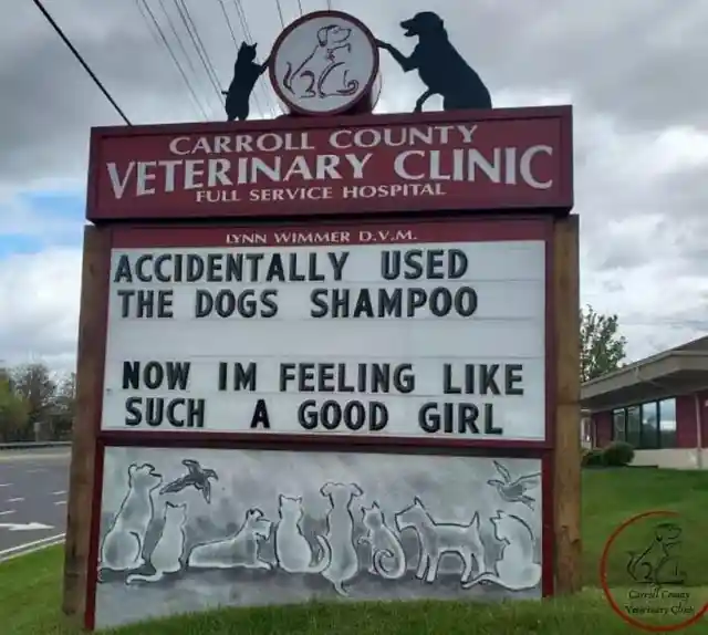 45 Signs To Make Your Pet's Vet Visit Enjoyable For Both Of You