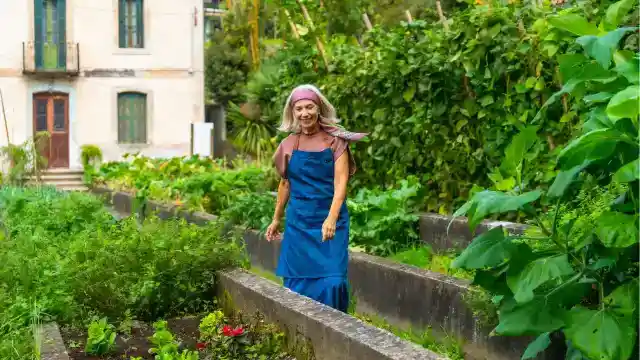 It Makes My Blood Boil