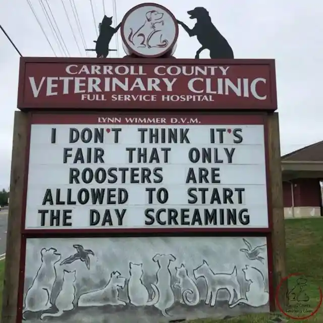 45 Signs To Make Your Pet's Vet Visit Enjoyable For Both Of You