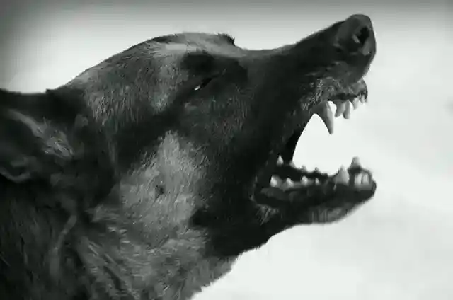 A Sight She'll Never Forget