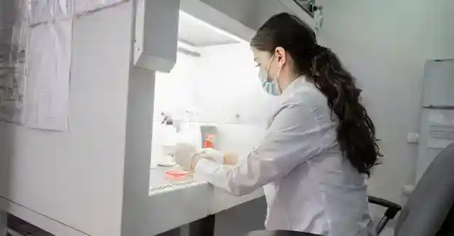 A Biological Connection