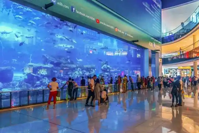 Aquarium Inside A Mall