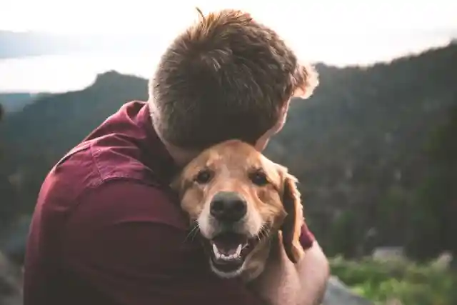 Age Ain't Nothing But A Number - Why You Should Adopt A Senior Pet