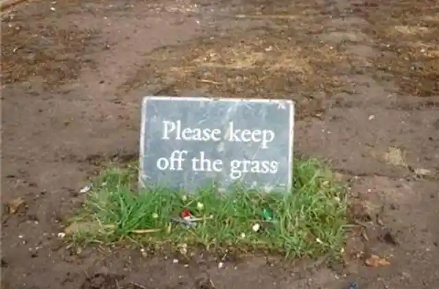 30+ Funny Landscaping Wins and Fails