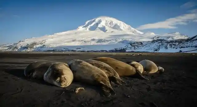 The Remote Heard Island