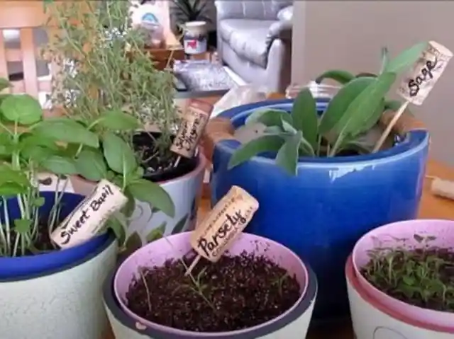 Old Wine Corks as Markers