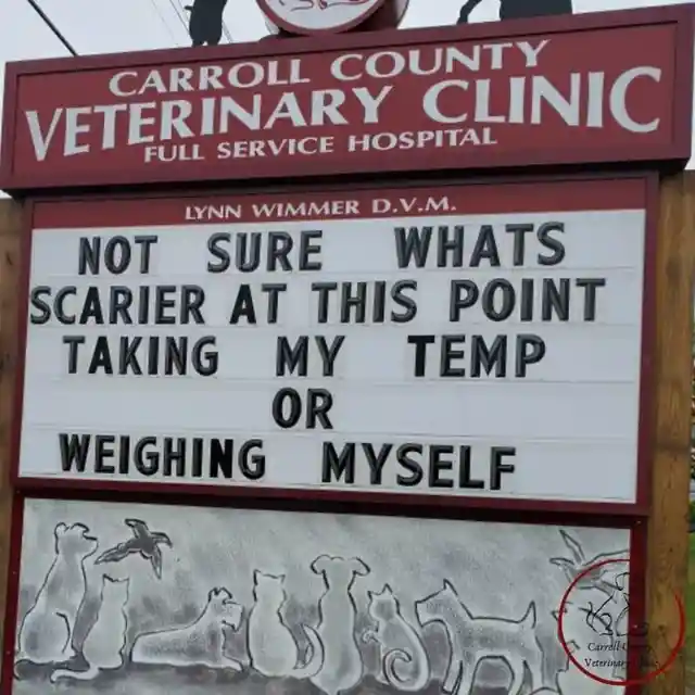 45 Signs To Make Your Pet's Vet Visit Enjoyable For Both Of You