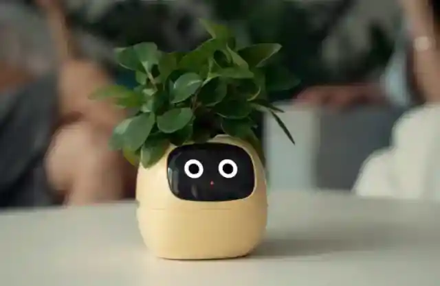 Smart Plant Pot