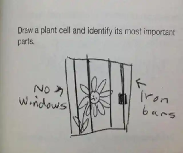 Plant in a Cell