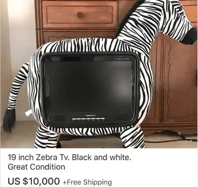 Black And White TV Zebra