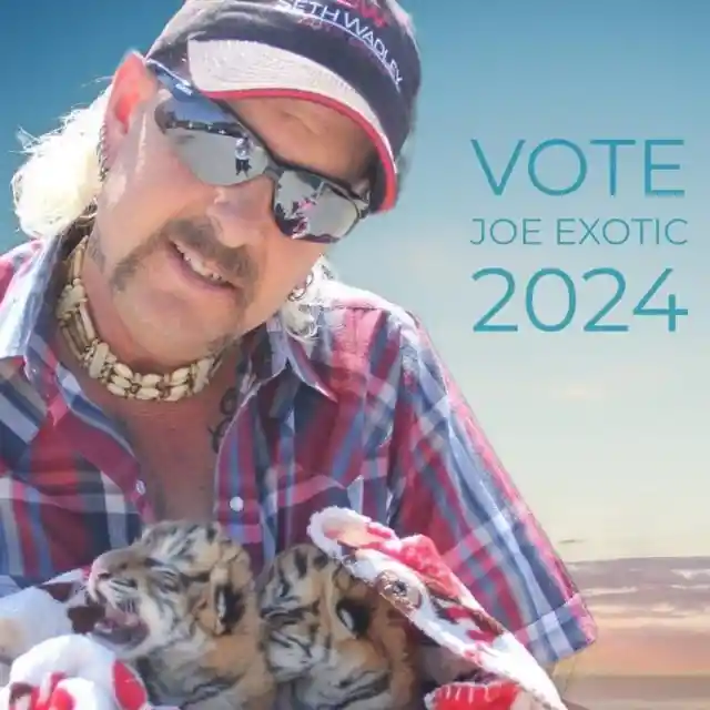 What is the name of the Netflix TV show that features popular characters like Joe Exotic?