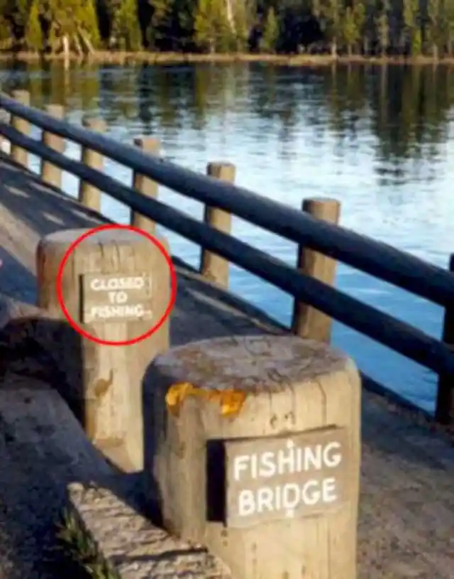 No Fishing On A Fishing Bridge