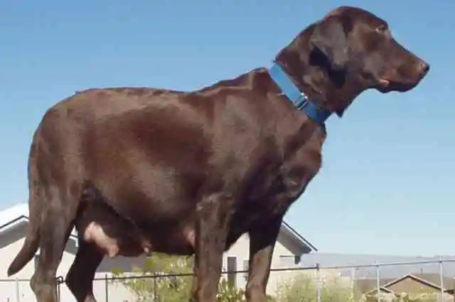 누구도 예상하지 못한 것보다 더