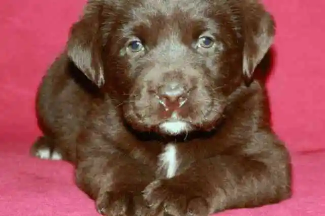 기적의 눈이 보여준 더 많은 것