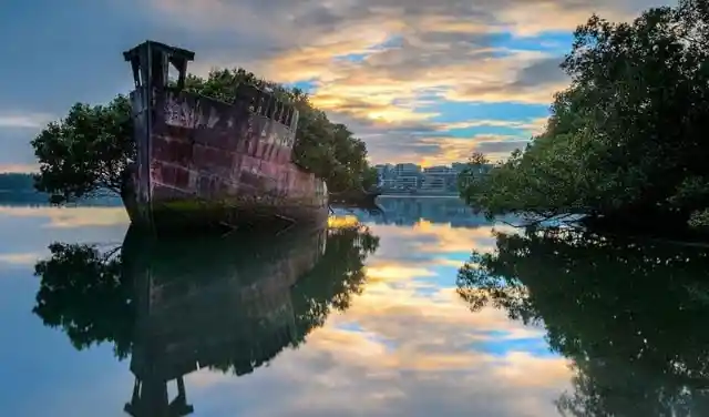 Floating Forest - Sydney, Australia