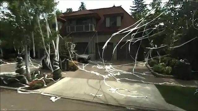 Toilet Paper Halloween Decor