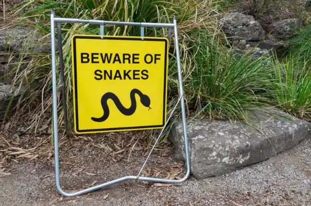 Which country has the most poisonous snakes?
