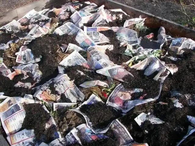 Combat Weeds with Newspaper