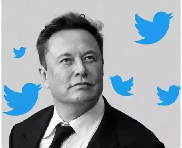 Musk Polls Twitter to Quit as CEO, Voters Leaning Toward Yes