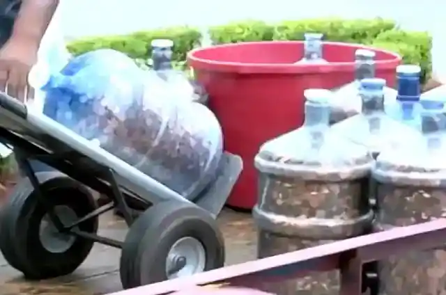 セレンディピティ