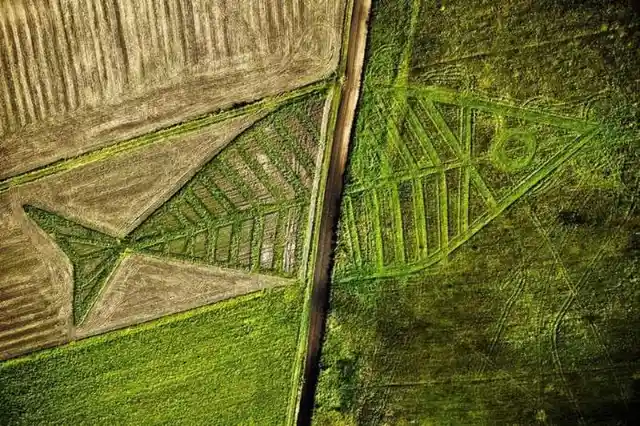 A Big Fish Across the Polish and Ukrainian Border