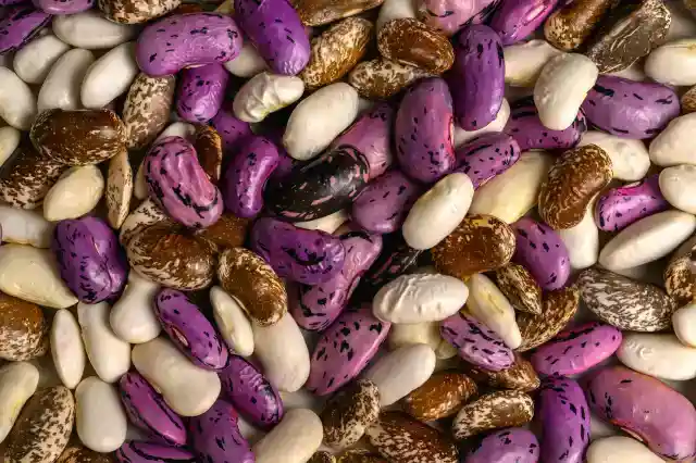 Beans