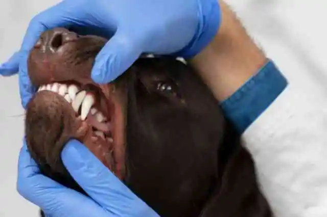 新たな答えを求めて