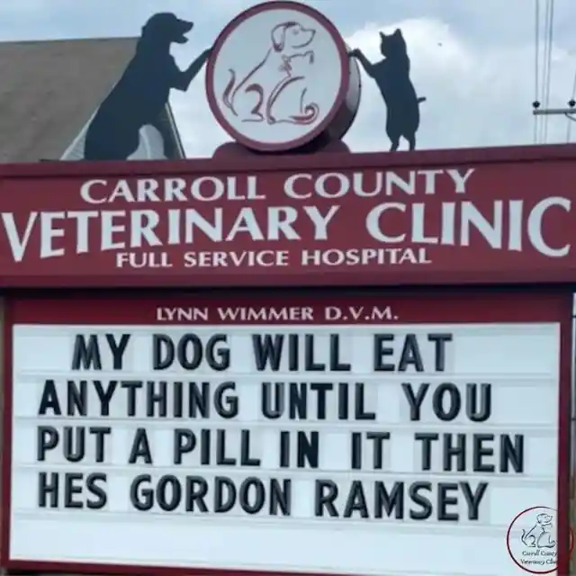 45 Signs To Make Your Pet's Vet Visit Enjoyable For Both Of You