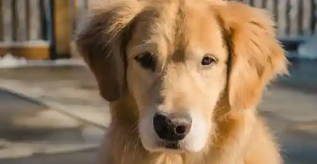 Max’s Strange Behavior Continues