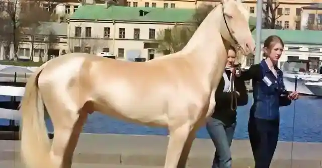 Something Was Not Right 