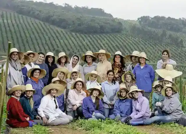 Noiva Do Cordeiro, Brazil