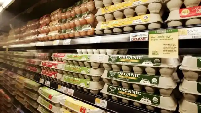 Why Are Hormone-Free Eggs More Expensive?