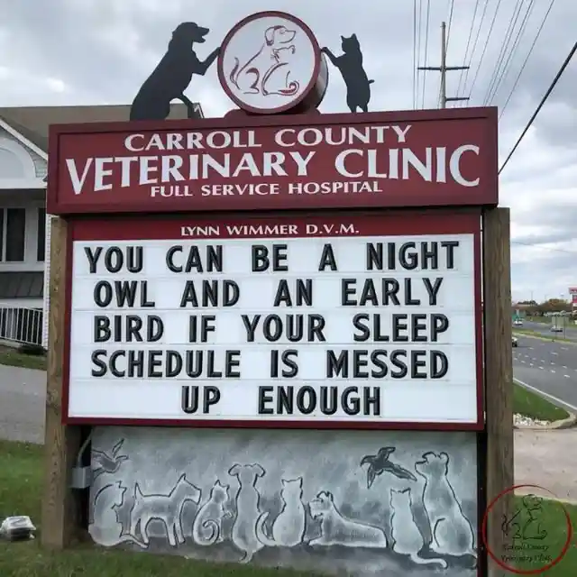 45 Signs To Make Your Pet's Vet Visit Enjoyable For Both Of You