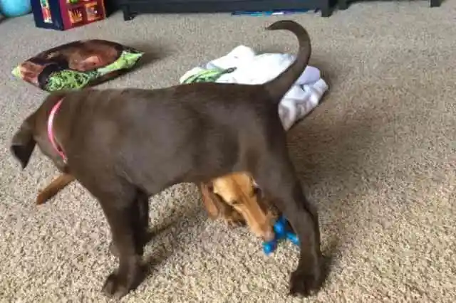 태어날 때부터 특별하고 유일했다