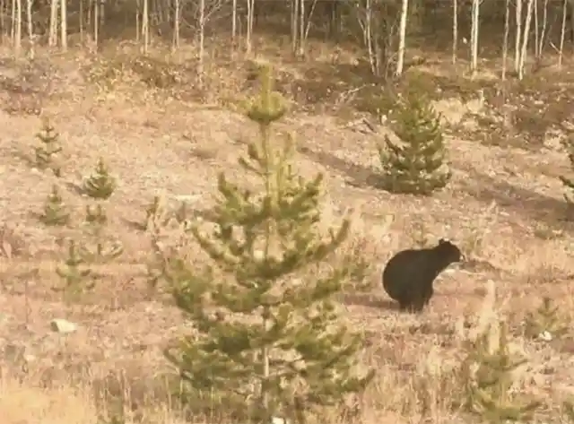 Nature Calls, Even in Nature